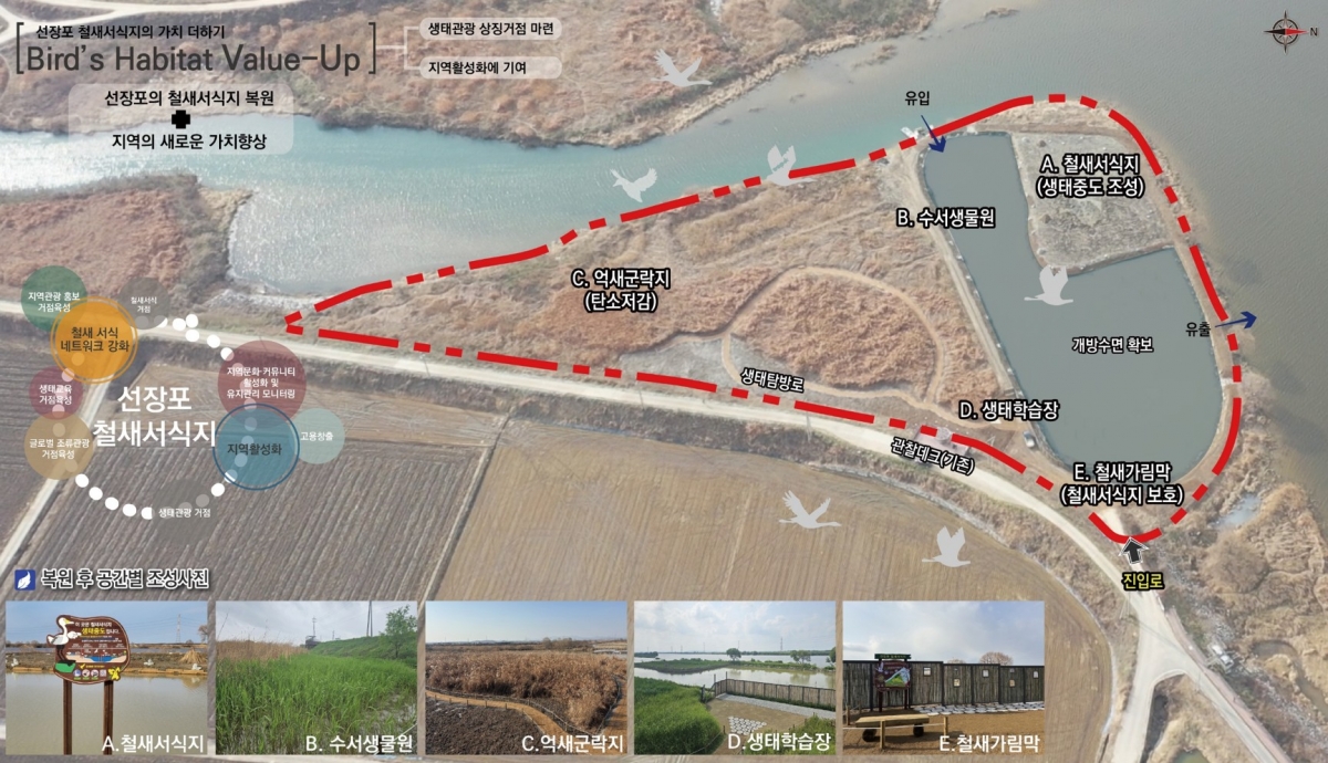 [自然資本時代的生態復育⑤] 為了因應TNFD的生物棲息地營造 ([Ecological Restoration in the Era of Natural Capital ⑤] Creating Biological Habitats for TNFD Response)