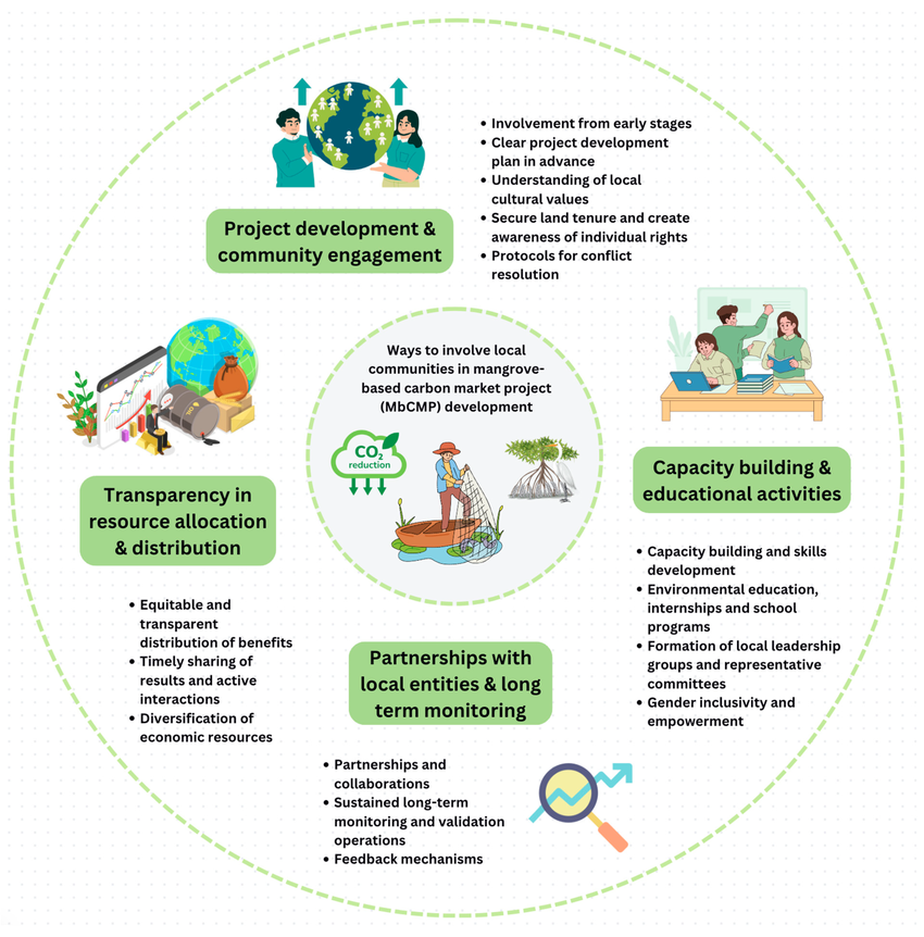 促進地方社區參與與支持紅樹林碳市場專案的15項建議